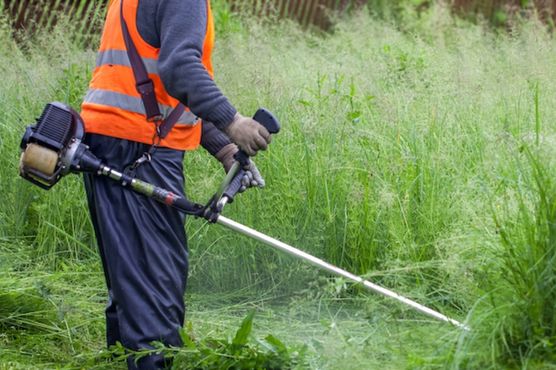 Lawn Care & Maintenance by B & M Paradise Service