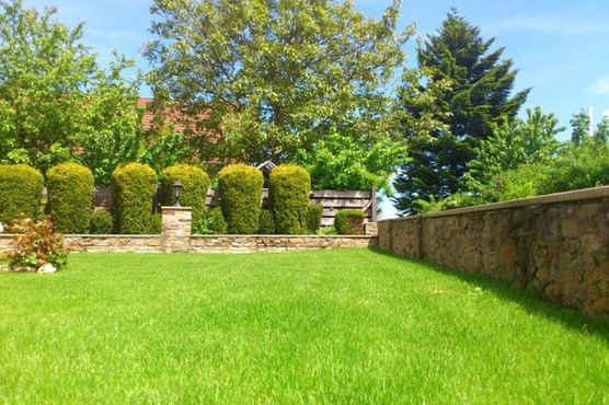Tree Trimming & Planting by B & M Paradise Service